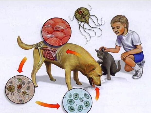 Ways to infect children with parasites