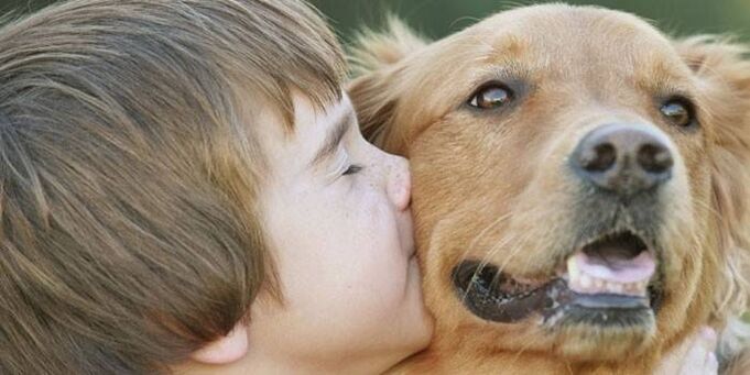 Boy infected with dog parasite
