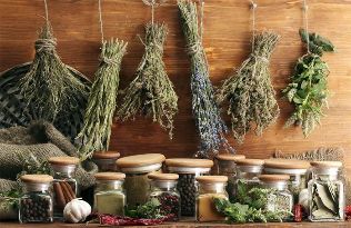 herbs for parasites