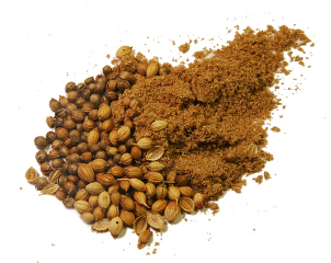 Coriander seeds from pests